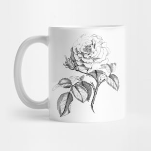 Rose Flower Black & White Illustration Mug